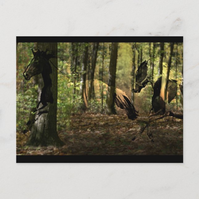 Cartão Postal Cartões-postais com bebidas espirituosas (Frente)