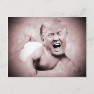 Cartão Postal Cartões-postais cor-de-rosa para o Presidente