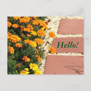 Cartão Postal Cartões-postais das flores laranja amarelas marig