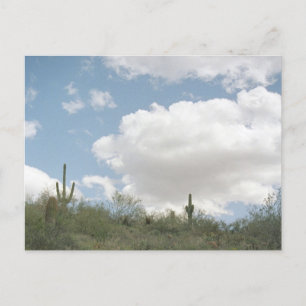 Cartão Postal Cartões-postais de Arizona Sonoran para Sinfonia d