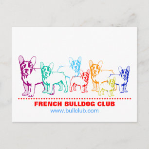 Cartão Postal Cartões-postais de Bulldog Francês