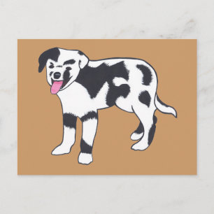Cartão Postal Cartões-postais de Cachorro Malhado Preto e Branco