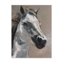 Cartões-postais de Cavalos