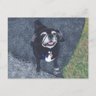 Cartão Postal Cartões-postais de pintura de cãozinho feliz e bon