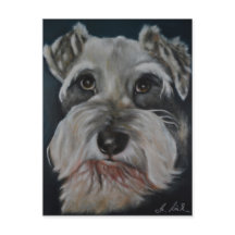 Cartões-postais de pintura Schnauzer