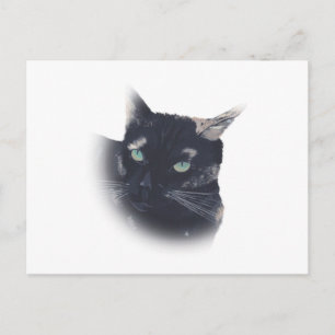 Cartão Postal Cartões-postais de rosto de gato de tartaruga