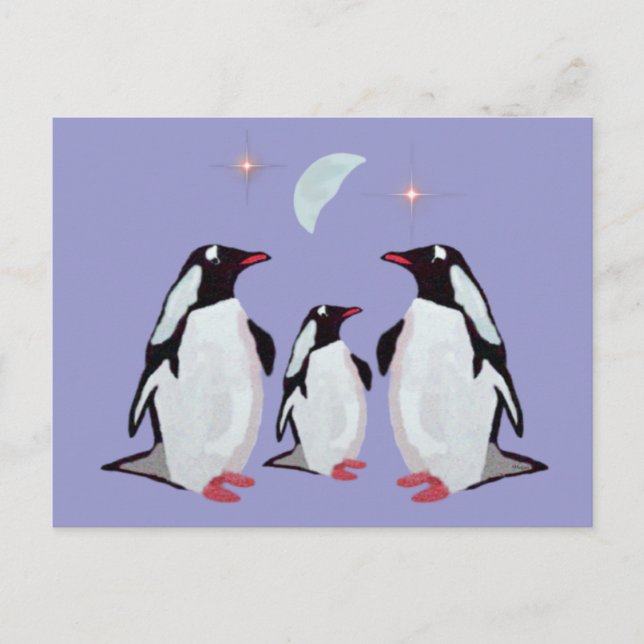 Cartão Postal Cartões-postais de Saudações do Pinguim Gentoo (Frente)