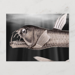 Cartão Postal Cartões-postais de Viperfish