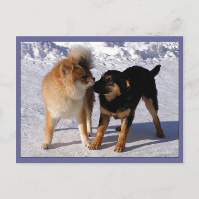 Cartão Postal Cartões-postais para "Puppy play" (Frente)