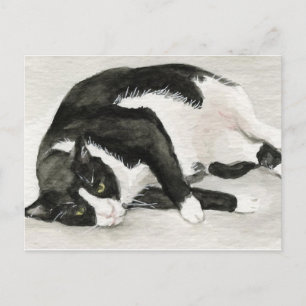 Cartão Postal Cartões-postais "Tuxedo Cat Confortável"
