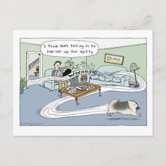 Cartão Postal Cartoon de Keeshond "Livingroom Agiliary"