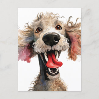 Cartão Postal Cartoon de Poodle Engraçado
