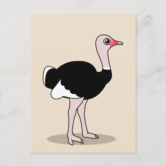 Cartão Postal Cartoon Ostrich (Frente)