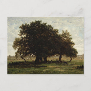 Cartão Postal Carvalhos de pequena ilha, Apremont, 1850-52