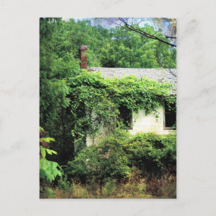 Cartão Postal Casa Branca Abandonada na Floresta
