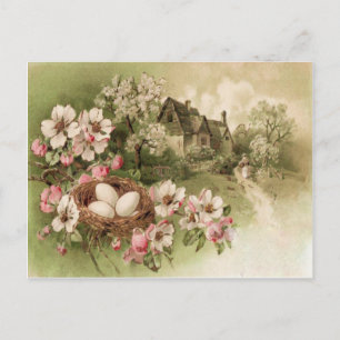 Cartão Postal Casa de Ovo de Ninho de Pássaro de Árvore de Corni