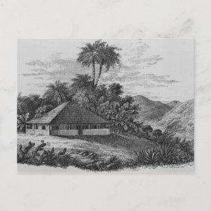 Cartão Postal Casa de planter no Brasil