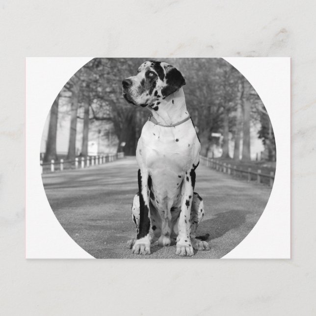 Cartão Postal Casa do Dogue (Frente)