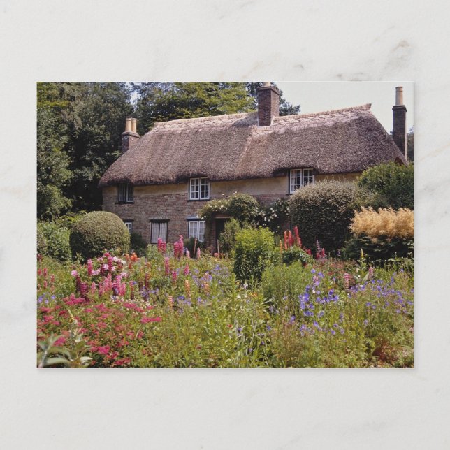 Cartão Postal Casa do Red Thomas Hardy, Dorset, flor da Inglater (Frente)
