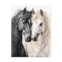 Casal de Cavalos Cavalo Preto e Branco Postcrossin