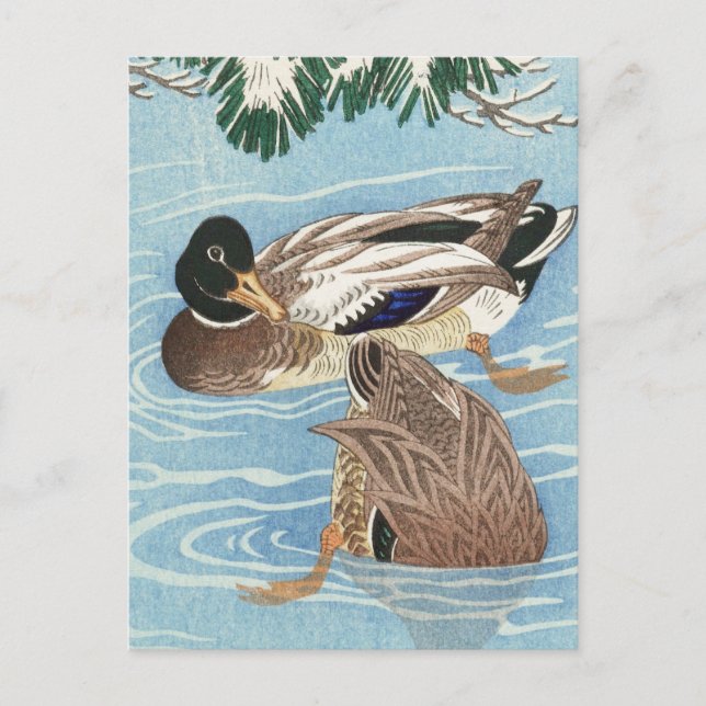 Cartão Postal Casal de Patos no Qater por Ohara Koson (Frente)
