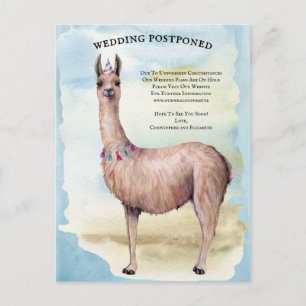 Cartão Postal Casamento Azul Funny Llama Adiado Alteração de Dat