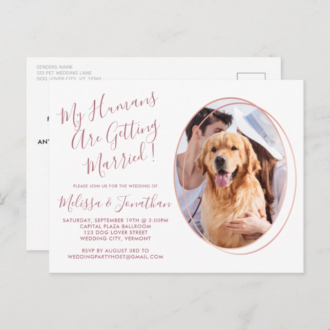 Cartão Postal Casamento de Fotos Personalizadas de Pet com Rosa  (Frente/Verso)