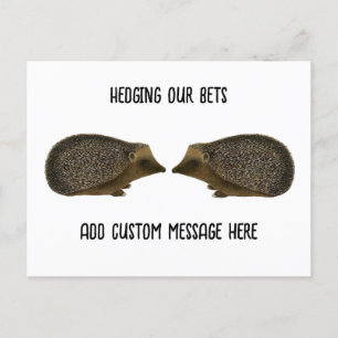 Cartão Postal Casamento de Hedgehogs - Casamento engraçado de He