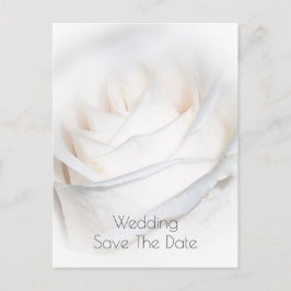 Cartão Postal Casamento Personalizado Da Rosa Branca Salvar A Da
