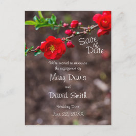 Cartão Postal Casamento Superior de Scarlet