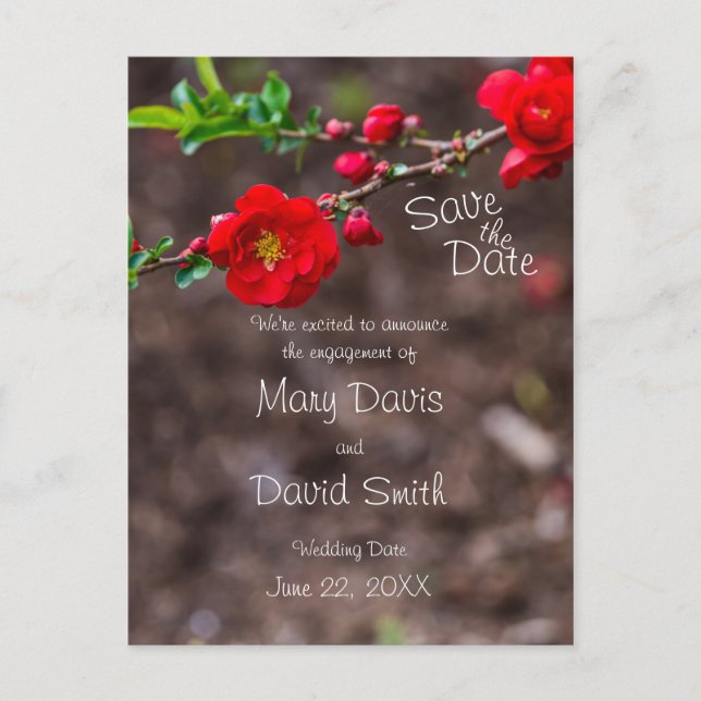 Cartão Postal Casamento Superior de Scarlet (Frente)