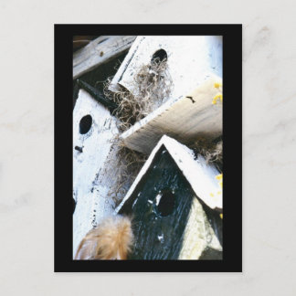 Cartão Postal Casas de aves