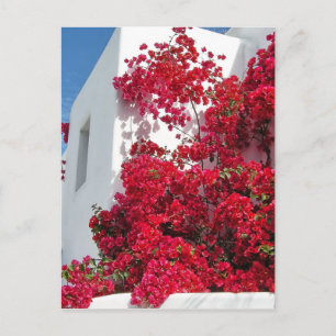 Cartão Postal Casas de Mykonos