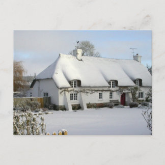 Cartão Postal Casca achatada no cartão-postal da neve