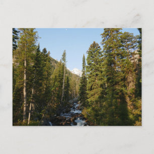 Cartão Postal Cascade Creek no Grand Teton