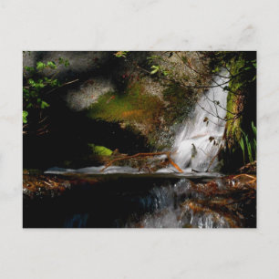 Cartão Postal CASCADE. PISCINA. CAIR. Meditação - uma forma de