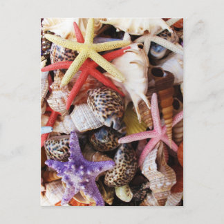 Cartão Postal Cascas-do-mar