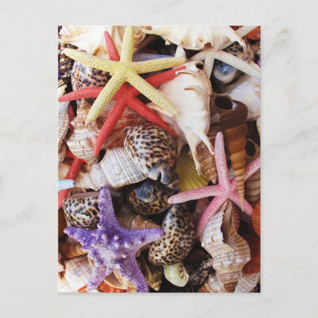 Cartão Postal Cascas-do-mar (Frente)