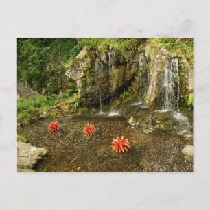 Cartão Postal Cascata