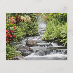Cartão Postal Cascata