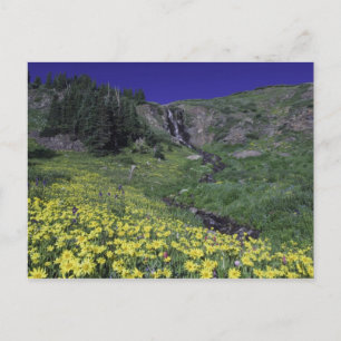 Cartão Postal Cascata e flores silvestres nos prados alpinos, 3