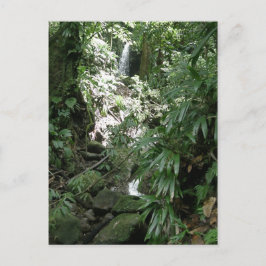 Cartão Postal Cascata Em Dominica