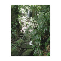Cascata Em Dominica