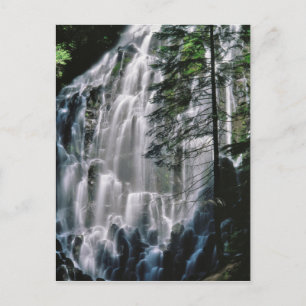 Cartão Postal Cascata em floresta, Oregon