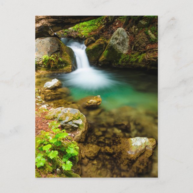 Cartão Postal Cascata em Hare Creek, Califórnia (Frente)