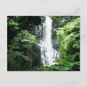 Cartão Postal Cascata Havaiana