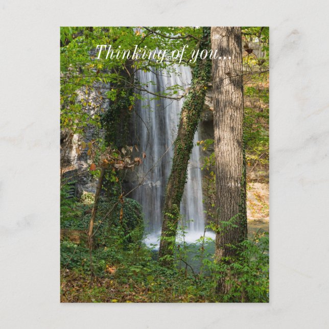 Cartão Postal Cascata Na Floresta (Frente)