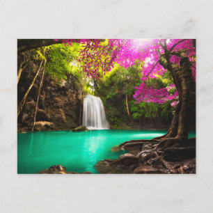 Cartão Postal Cascata na Floresta do outono