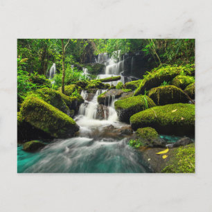 Cartão Postal Cascata na selva   Montanha Phu Tub Berk