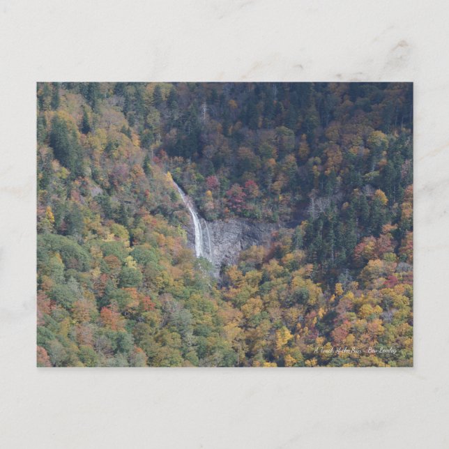 Cartão Postal Cascata nas Montanhas Blue Ridge, NC (Frente)